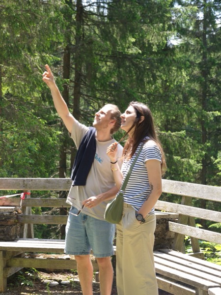 Pointing out the view from a forest lookout