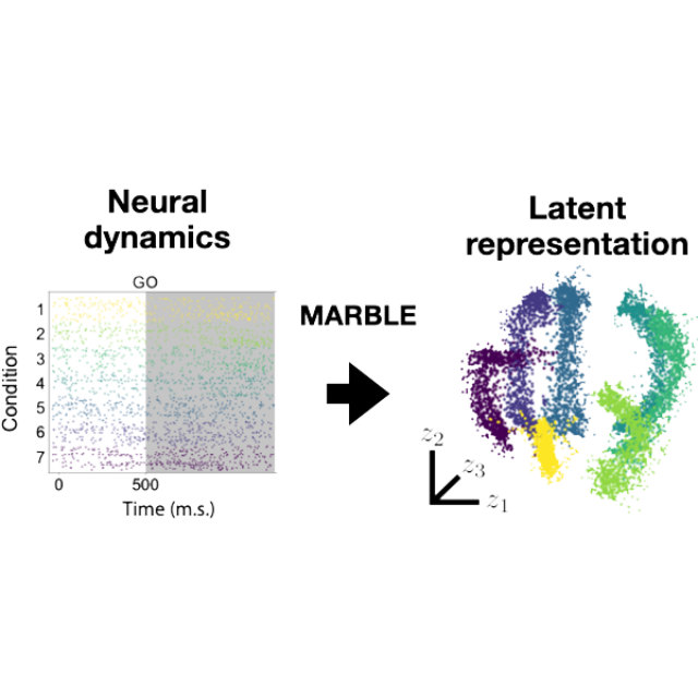 Figure from MARBLE: Interpretable representations of neural dynamics using geometric deep learning