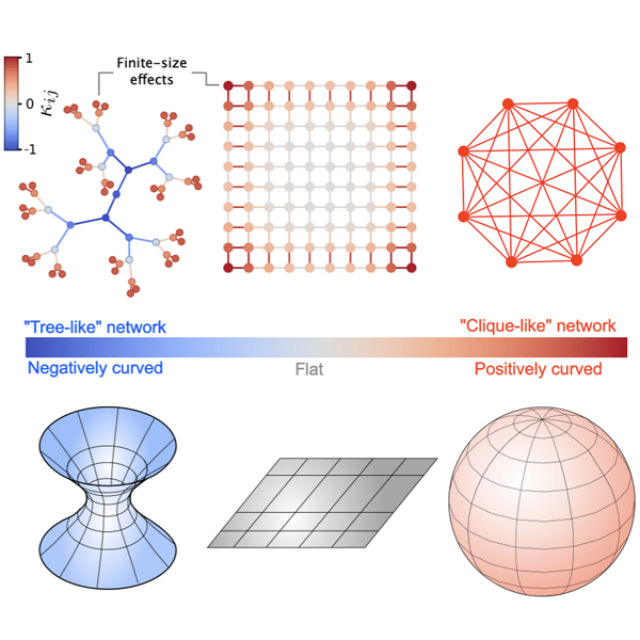 Figure from Unfolding the multiscale structure of networks with dynamical Ollivier-Ricci curvature