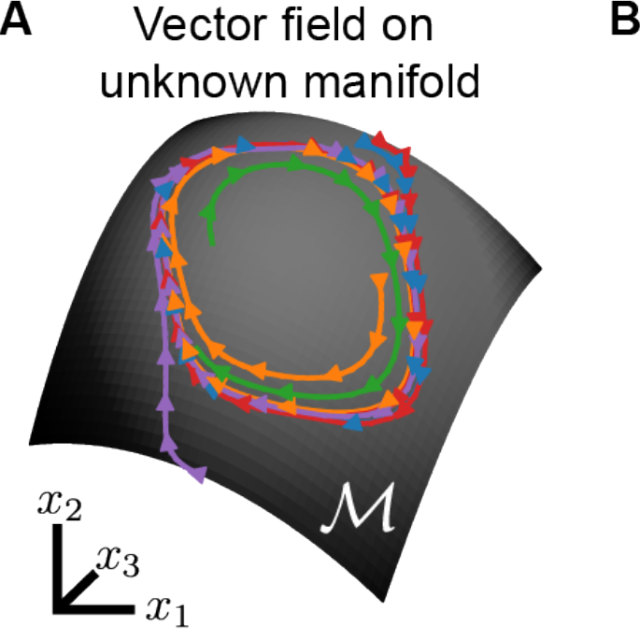 Figure from Implicit Gaussian process representation of vector fields over arbitrary latent manifolds